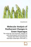 Molecular Analysis of Postharvest Changes in Green Asparagus