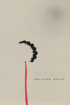 Bone Light - White, Orlando