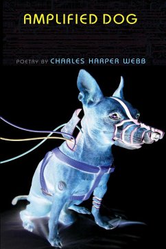 Amplified Dog - Webb, Charles Harper