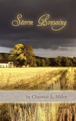 Cover Storm Brewing