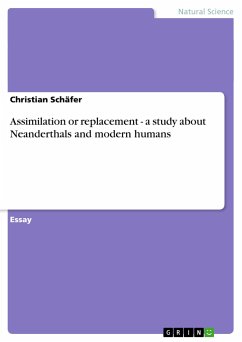 Assimilation or replacement - a study about Neanderthals and modern humans - Schäfer, Christian