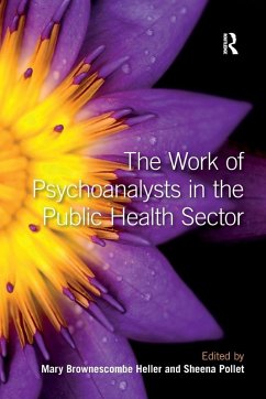 Cover The Work of Psychoanalysts in the Public Health Sector