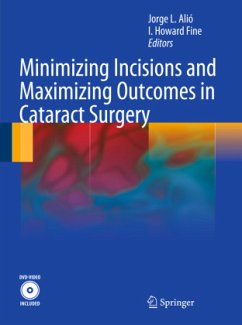 Minimizing Incisions and Maximizing Outcomes in Cataract Surgery - Alió y Sanz, Jorge L. / Fine, I. Howard (Hrsg.)