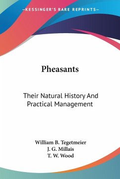 Pheasants Pheasants