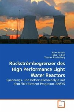 Rückströmbegrenzer des High Performance Light Water Reactors - Drouin, Julien