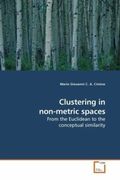 Clustering in non-metric spaces - Cimino, Mario Giovanni C. A.