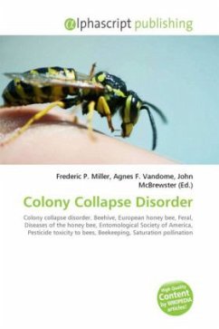 Colony Collapse Disorder