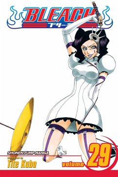 Bleach, Vol. 29 Cover Bleach, Vol. 29