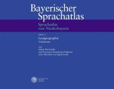 Sprachatlas von Niederbayern (SNiB) / Bayerischer Sprachatlas Regionalteil V, Bd.3