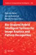 Bio-Inspired Hybrid Intelligent Systems... - Bild 1