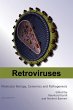 Retroviruses - Bild 1