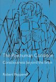 The Posthuman Condition The Posthuman Condition
