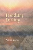 Handling Destiny