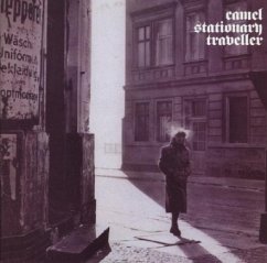 Stationary Traveller - Camel