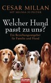 Welcher Hund passt zu uns?