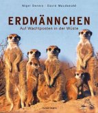 Erdmännchen