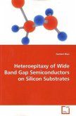 Heteroepitaxy of Wide Band Gap Semiconductors on Silicon Substrates