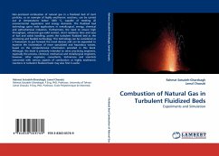Combustion of Natural Gas in Turbulent Fluidized Beds