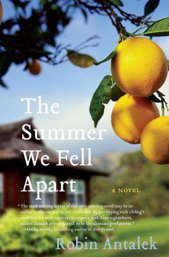 The Summer We Fell Apart - Antalek, Robin