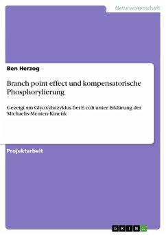 Branch point effect und kompensatorische Phosphorylierung - Herzog, Ben