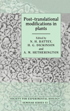 Sebs 53 Post-Transltn Modifcat - Battey, N. H.