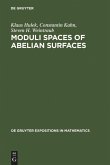 Moduli Spaces of Abelian Surfaces