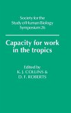 Capacity for Work in the Tropics