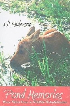 Pond Memories - Anderson, Lil