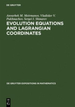 Evolution Equations and Lagrangian Coordinates - Meirmanov, Anvarbek M.;Pukhnachov, Vladislav V.;Shmarev, Sergei I.