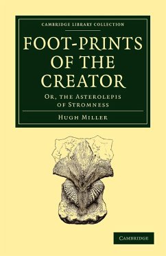 Foot-Prints of the Creator - Miller, Hugh