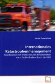 Internationales Katastrophenmanagement