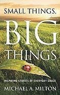 Small Things, Big Things: Inspiring Stories of Everyday Grace - Milton, Michael A.