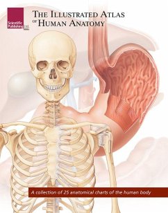 The Illustrated Atlas of Human Anatomy