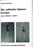 Die schönsten Spinnen Europas nach Farbfotos erkannt