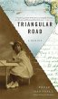 Triangular Road - Bild 1