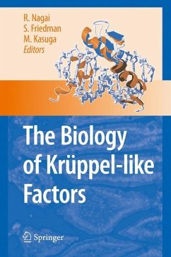 The Biology of Krüppel-like Factors - Nagai, Ryozo / Friedman, Scott L. / Kasuga, Masato (Hrsg.)