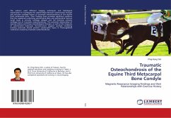 Traumatic Osteochondrosis of the Equine Third Metacarpal Bone Condyle