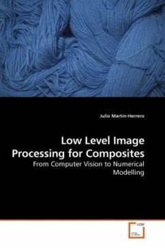 Low Level Image Processing for Composites - Martín-Herrero, Julio