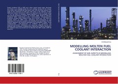 MODELLING MOLTEN FUEL COOLANT INTERACTION