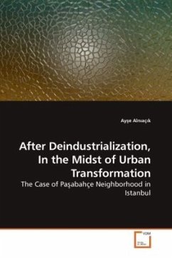 After Deindustrialization, In the Midst of Urban Transformation - Alniacik, Ayse