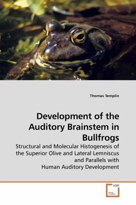 Development of the Auditory Brainstem in Bullfrogs Development of the Auditory Brainstem in Bullfrogs
