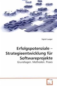 Erfolgspotenziale Strategieentwicklung für Softwareprojekte - Lueger, Sigrid