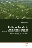 Radiative Transfer in Vegetation Canopies