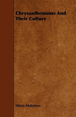 Cover Chrysanthemums and Their Culture