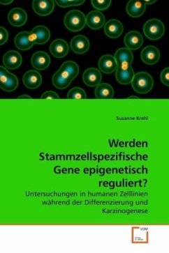 Werden Stammzellspezifische Gene epigenetisch reguliert? - Krehl, Susanne