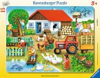 Ravensburger 06020 - Was gehört wohin? 15 Teile Rahmenpuzzle