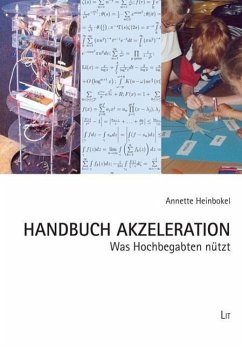 Handbuch Akzeleration - Heinbokel, Annette