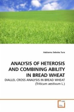 ANALYSIS OF HETEROSIS AND COMBINING ABILITY IN BREAD WHEAT - Seboka Tura, Habtamu
