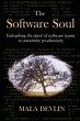 The Software Soul - Bild 1