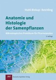 Anatomie und Histologie der Samenpflanzen